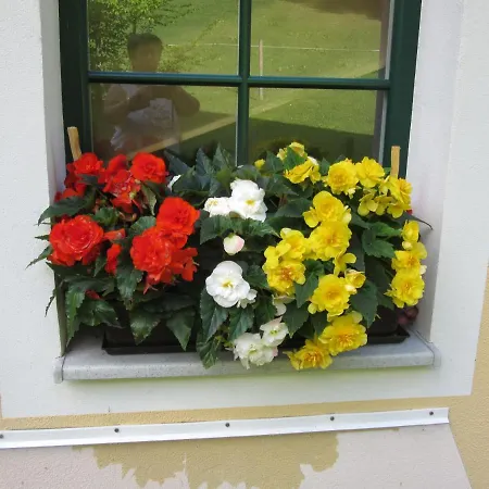 Haus Margarete アパート *