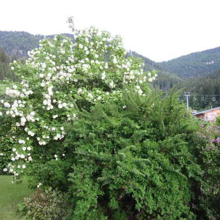 Haus Margarete Lackenhof